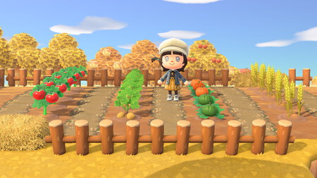 Animal Crossing New Horizons
