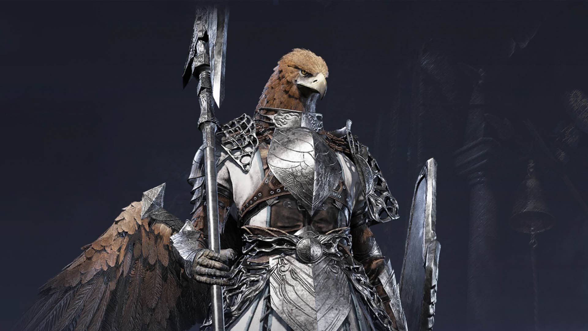 elden ring nightreign guardian