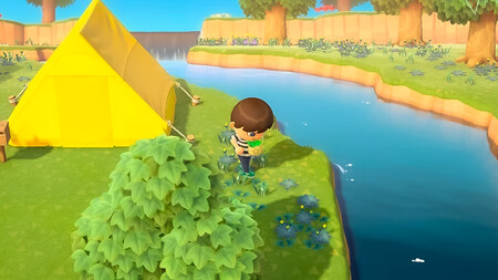 Animal Crossing Hirba