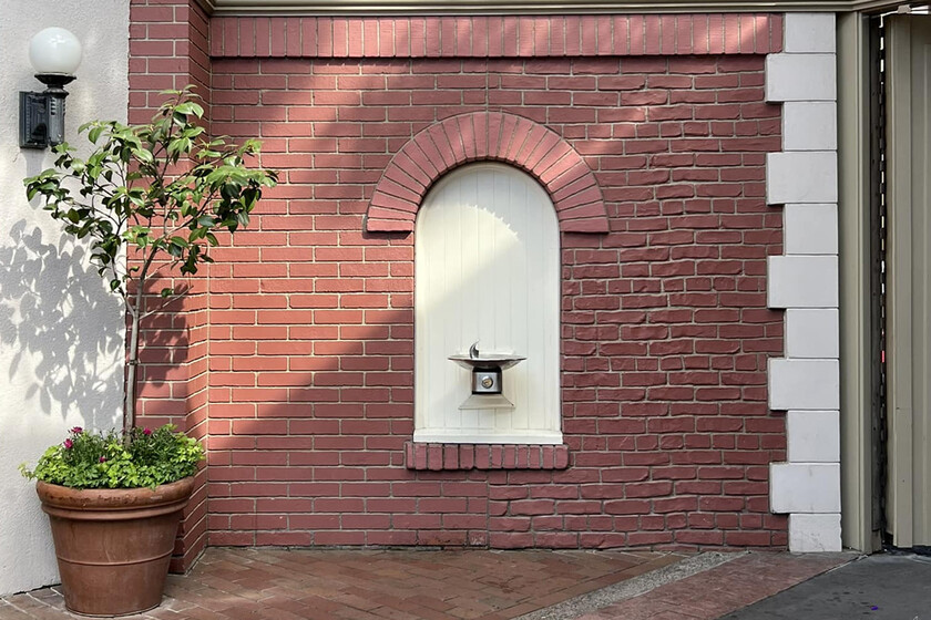 La hormaza más importante de Disneyland pasa completamente desapercibida, pero esconde una impresionante historia tras su tapia