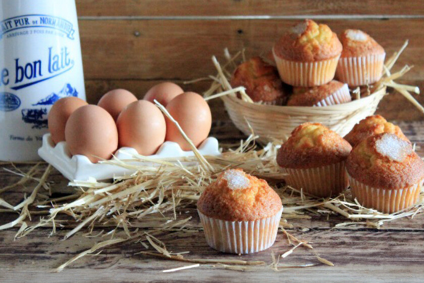 prescripción de la abuela con Thermomix, esponjosas y con el sabor de siempre